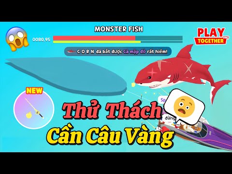 Play Together | Mình Đã Thử Thách 48h Dùng Cần Câu Vàng Cày Chay Câu Bóng 6 Sẽ Như Thế Nào #190