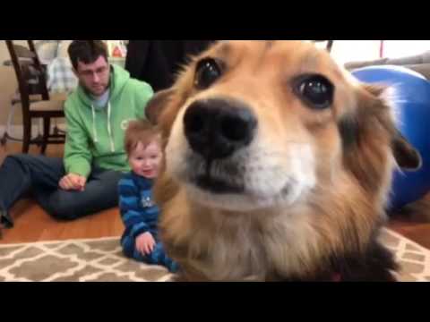 Ellis can't stay away from Harriet