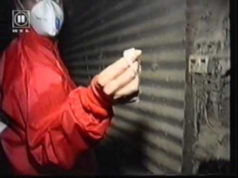 Tierrechte-Tierschutz  RTL2 - Die Redaktion - Hühnerbefreiung