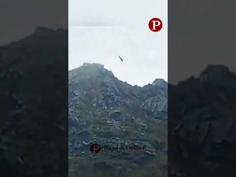 Avistamiento de cóndores andinos sorprendió a la comunidad de Chita, Boyacá