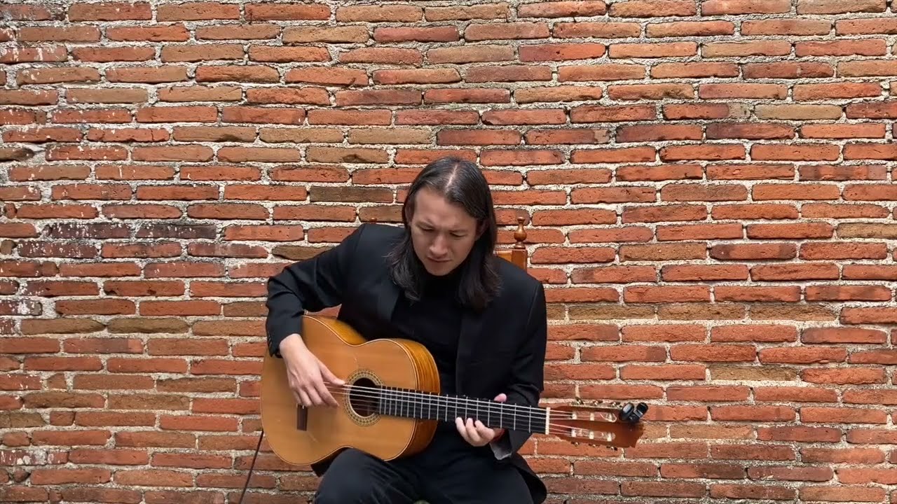 Promotional video thumbnail 1 for Diego Salcedo Guitar