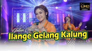 Download lagu Intan Chacha Ilange Gelang Kalung... mp3