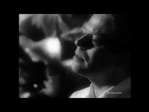 Videoclip de People Will Say We're in Love — Robert Palmer