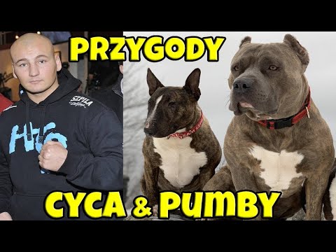 NAJLEPSZY TRENER PSÓW | CYCU & PUMBA | ARTUR SZPILKA