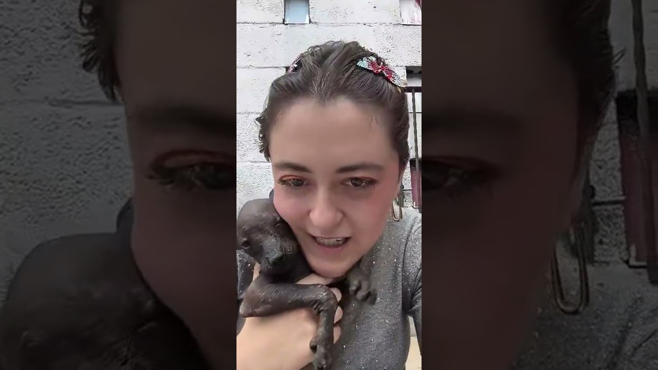 Tlilxóchitl, Iztli y Xilonen Ramírez durante una sesión de Personalidad Xolo en el patio