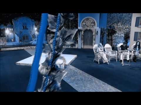 ZOKA JANKOVIC -  Ne voli te onaj ko ti kaze!?