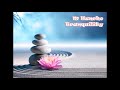 M Huncho - Tranquility (432Hz) M Huncho - Tranquility (432Hz)