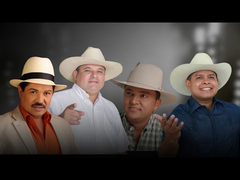 Grandes Éxitos de la Música Llanera - Llaneras Para diciembre, Luis Silva, Jorge Guerrero, Reynaldo