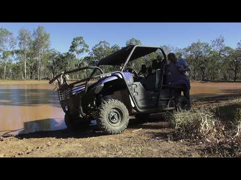 Viking buggy Dog Trapping