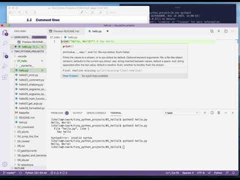 Tiny Python Projects Ch 1 Pt 2 Adding Comments