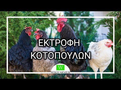 , title : 'Πώς να Μεγαλώσετε Κότες'