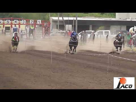 MONITO HIPODROMO DON SOHAR CRUZ DEL EJE 08 05 2022