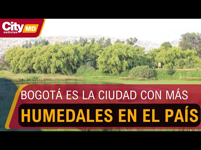 Imagen CITY TV