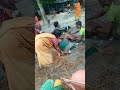 Bapla Kata Arup Santali Video 2022
