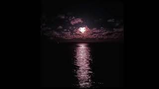 Cover art for I Love You More