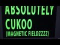 FIDLAR & BULLY - ABSOLUTELY CUKOO (MAGNETIC FIELDS)