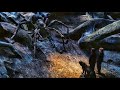 Spiders Attack Scene You Re Aragog Harry Potter And The Chamber Of Secrets 2002 Movie Clips