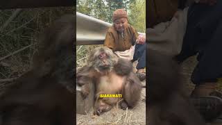 Download lagu Once Tortured, Now a Symbol of Hope: The Story of Xing Xing#shorts mp3