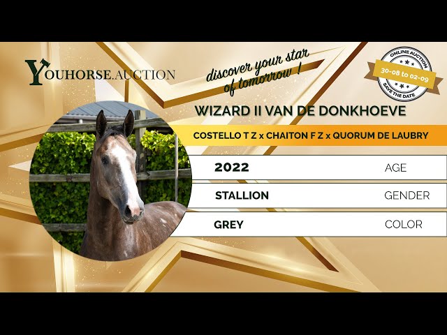 Wizard II vd Donkhoeve