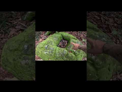 考古学的発見: 神秘的な神の像が劇的な歴史の証人