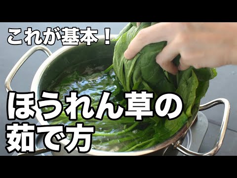 クローブをネズミに対してどうやって使うのか？最も効果的な祖母のレシピ  庭園