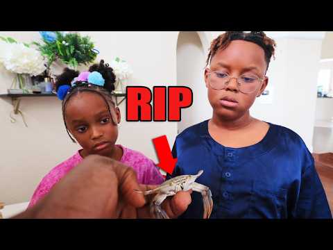something bad happened to our baby pet crab 💔