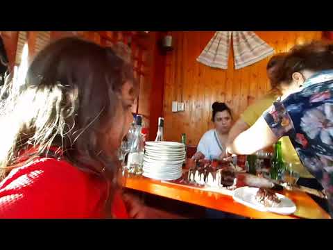 Teo la primirea tortului