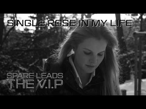 THE V.I.P™ - SINGLE ROSE IN MY LIFE © 2020 THE V.I.P™