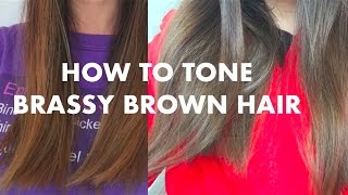 How to Tone Brassy Hair | eSalon Tinted Love Review