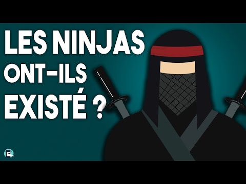 Le Mythe des Ninjas