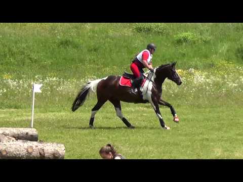 Jessenitschnig Elisabeth - Queen Elizabeth EJ  - E - Maria Rain 2018