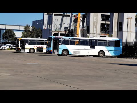 Busabout Smeaton Grange M/O 1017 - Volvo B10M MK IV Custom Coaches 510