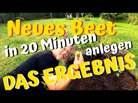 Neues Beet in 20 Minuten anlegen, (fast) ohne Arbeit / das Ergebnis nach 4 Monaten