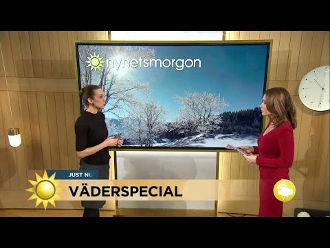Vad blir det för väder på julafton? - Nyhetsmorgon (TV4)