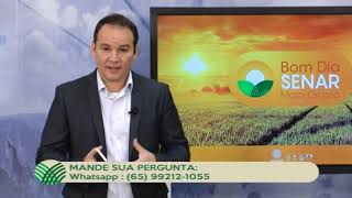 Miniatura do vídeo