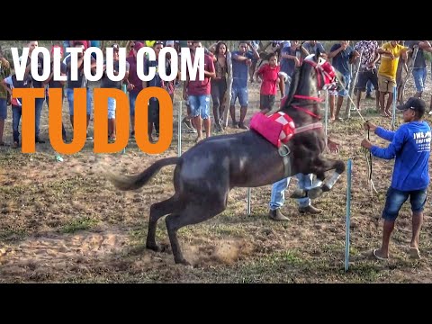🟢🎥X Festa de Corrida de Cavalos, Parque de Corrida Lagoa Seca - Francisco Ayres #corridadecavalos