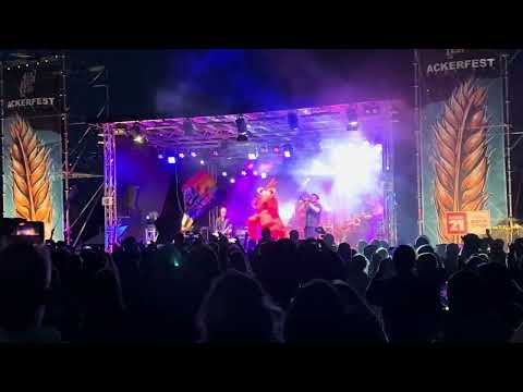 Ackerfest Open Air 2025 Schöppenstedt - Awesome Scampis - Schrei nach Liebe 