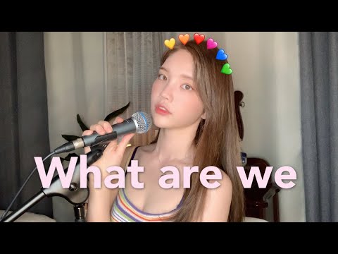 아이콘
