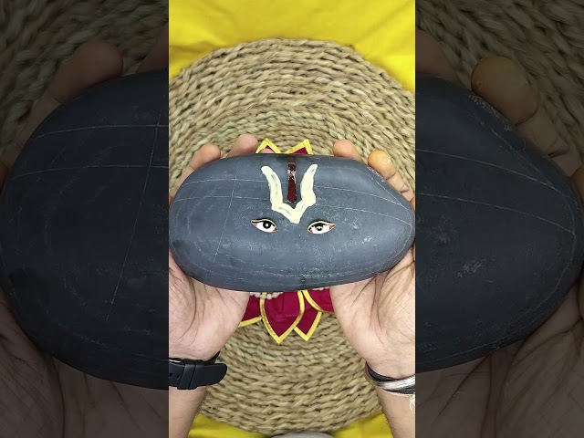 Vaishnavas Lord Narayan Black Shaligram Shila Stone video