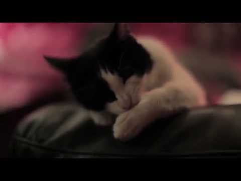 Crónicas de estudio #1 - JAVIER MARECO Y LOS MONOS DEL ESPACIO