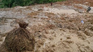 Update Longsor Sukabumi: 9 Korban Meninggal dan 34 Masih Dalam Pencarian