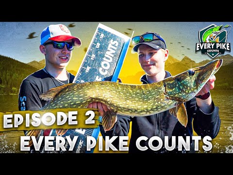 EVERY PIKE COUNTS 2023 with Happy Angler | Episode 2 [ENG SUB]