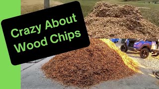 Crazy About Wood Chips: Loads 5 and 6 with Duck Updates