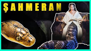 Osmanlıda Yaşanan Ve Sırrı Hala Korunmaya Devam Eden Şahmeran(Medusa) Olayı