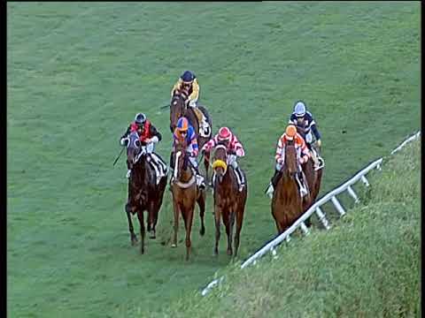 Galoppo 30/11/2019 - 3ª corsa