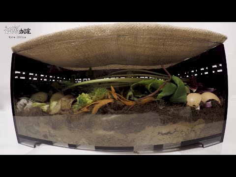 Worm Office: Time-lapse recording of red wiggler composting