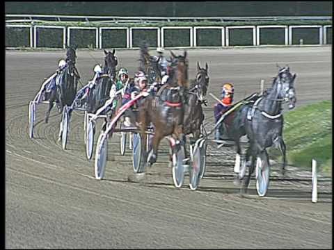 Trotto 18/11/2016 - 8ª corsa