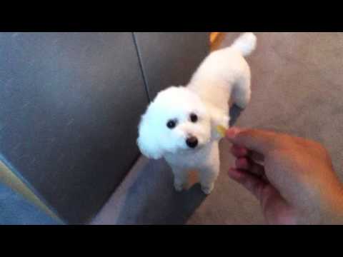 Como alimentar al Kraken