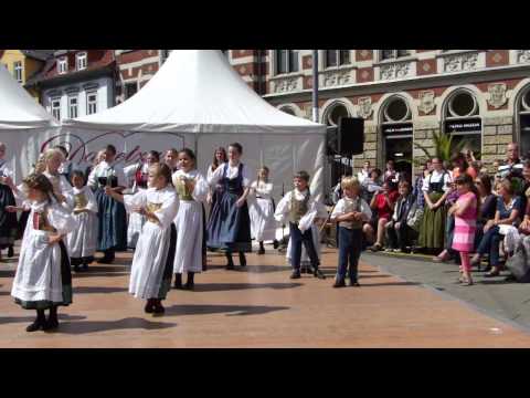 9. Danetzare in Erfurt - Erfurter Tanzteufel e.V. - Lesson Flashmob