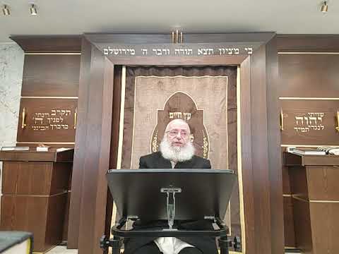 Rav Asher Weiss Remembering his Rebbe, The Klausenburg Rebbe Zt''l, Author of Divrei Yatziv | 5782